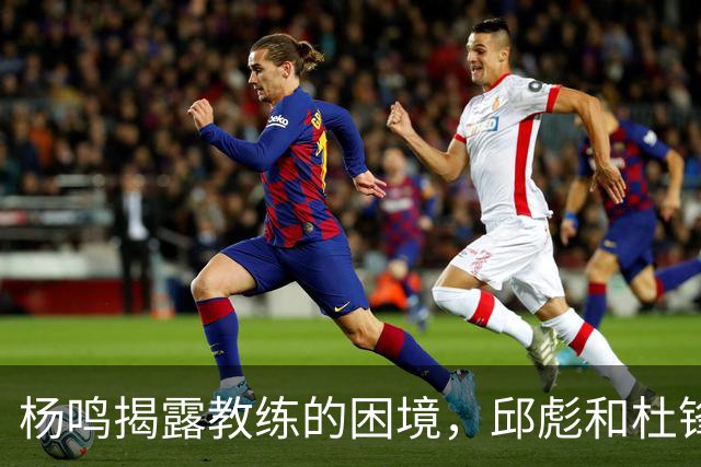 杨鸣揭露教练的困境，邱彪和杜锋的小团队行为是否成为自保策略？